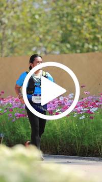 BIB:  <button type="button" onclick="openModal(27585268)" class="btn btn-primary btn-sm float-right" data-toggle="modal" data-target=".modal-high-quality">
                <i class="fa fa-download"></i> Download
                </button>